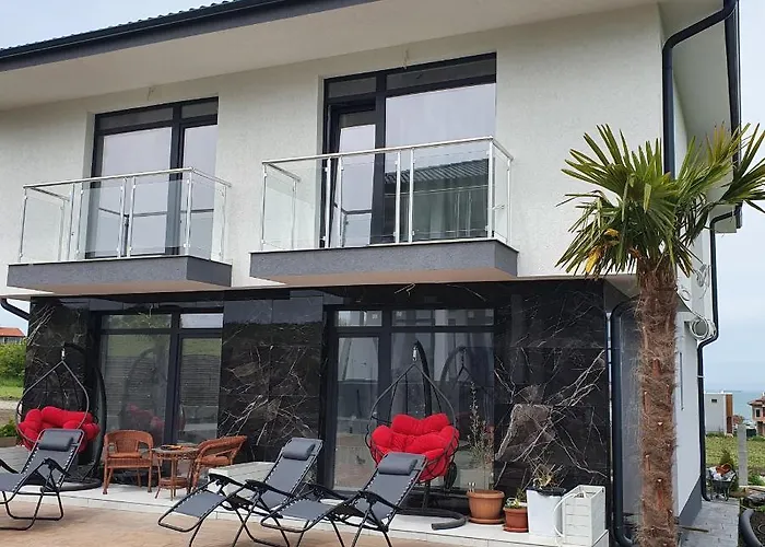 Captain Niko * 布尔加斯