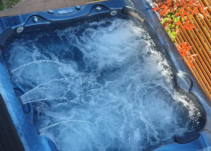 Captain Niko 布尔加斯