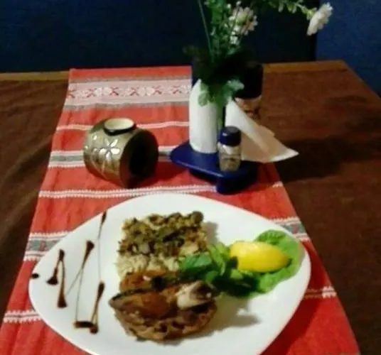 Captain Niko * 布尔加斯