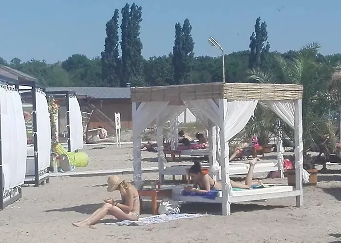 Captain Niko 布尔加斯