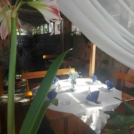 Captain Niko Appartement *